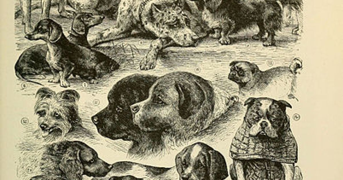 Prufrock: The Pevear-Volokhonsky "Asteroid," the Origin of Dogs, and Hugh Walpole's Supernatural Thrillers