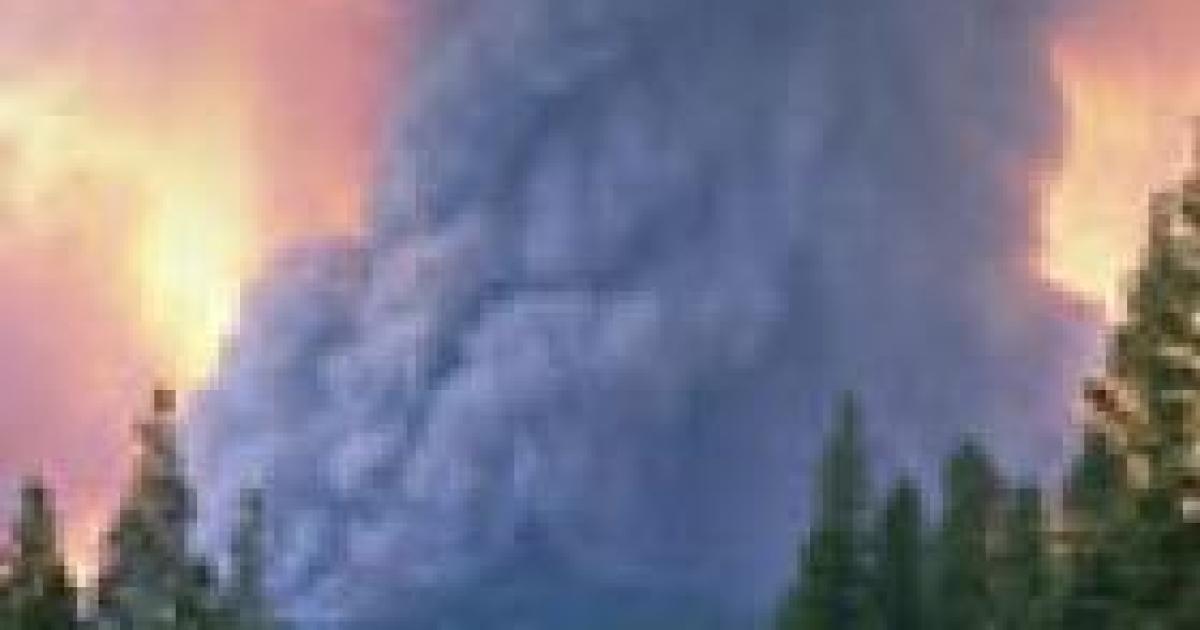 Blowing Smoke