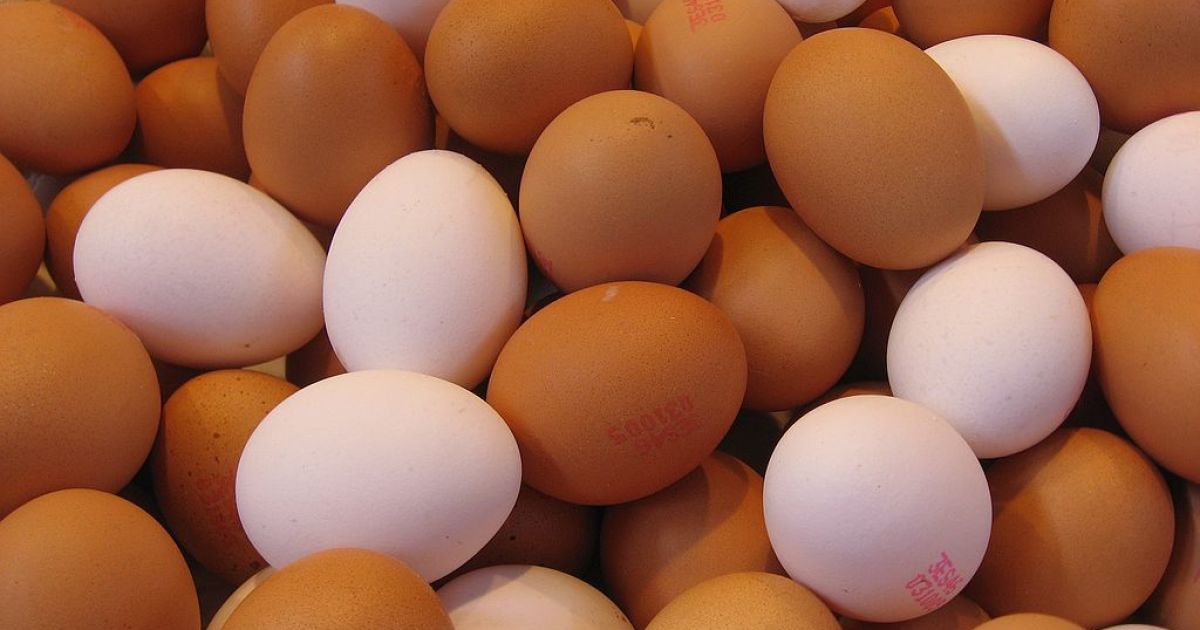 Fact Check: Were 'Over 200 Million Eggs Recalled ... Due To Salmonella Concerns'?