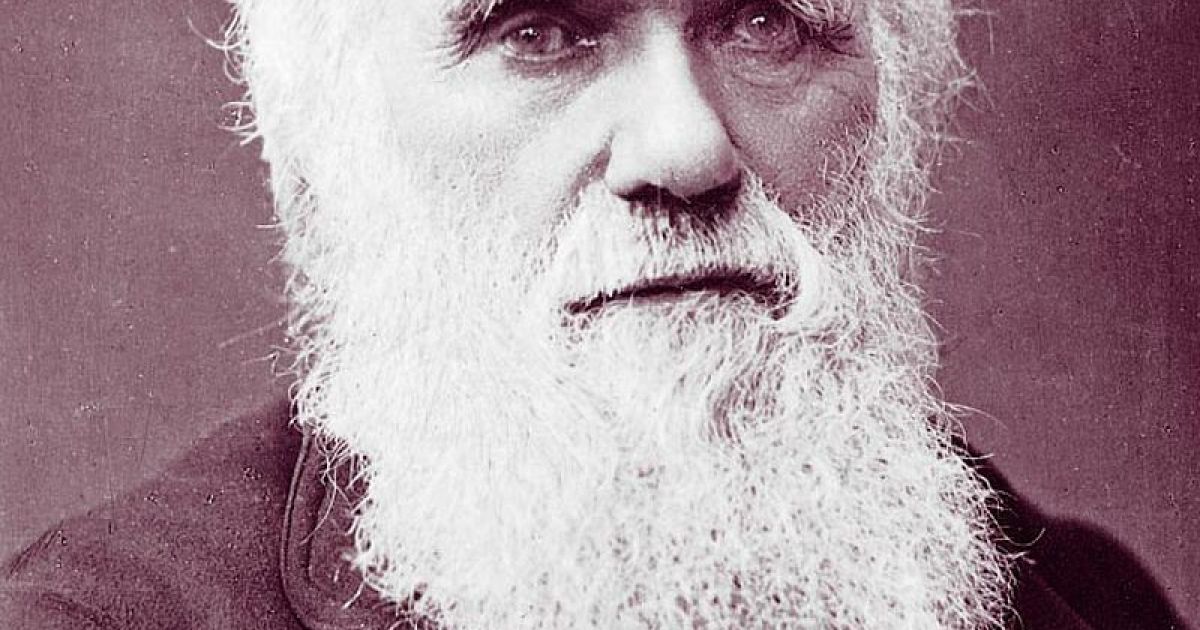 Prufrock: Tom Wolfe on Darwin, Auden's Prose, and a History of Jewish Copyright Law