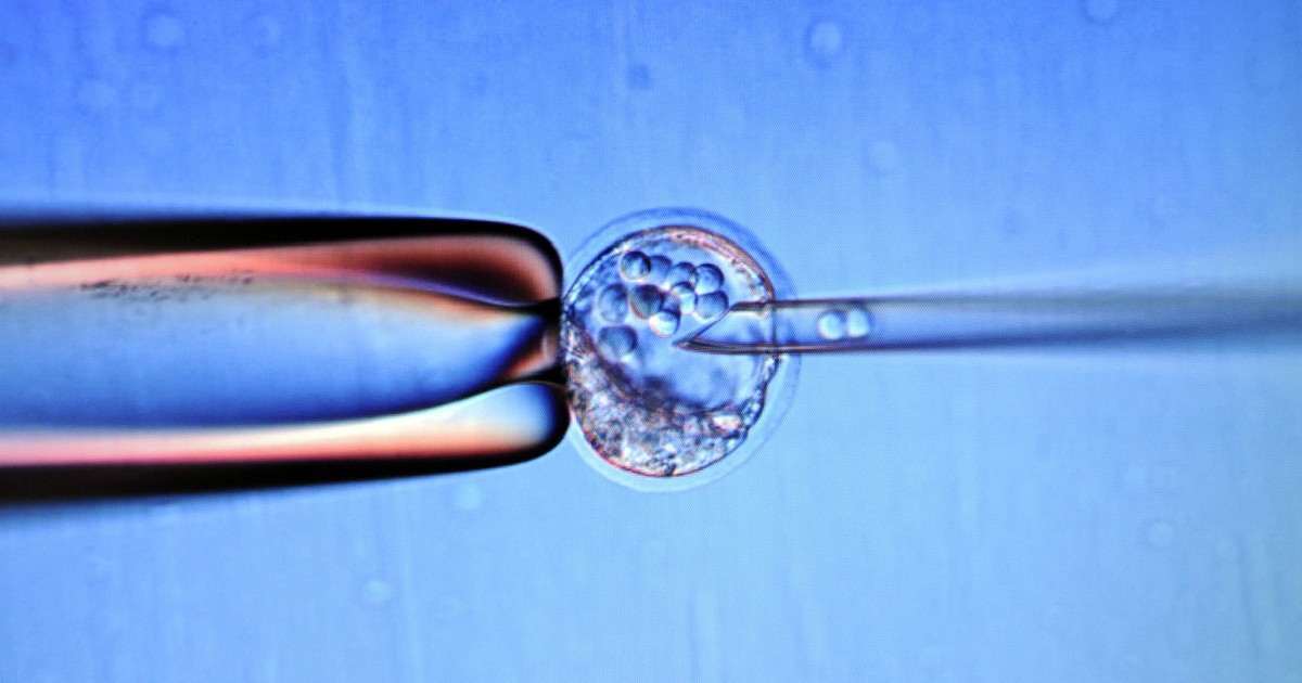 The Great Stem Cell Hoax