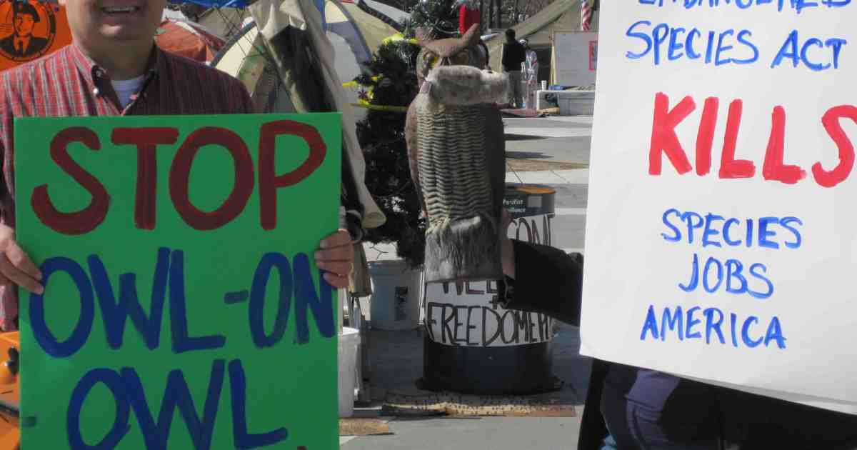 Anti-Occupy Movement Rallies Against ‘Obama's War on Nature’
