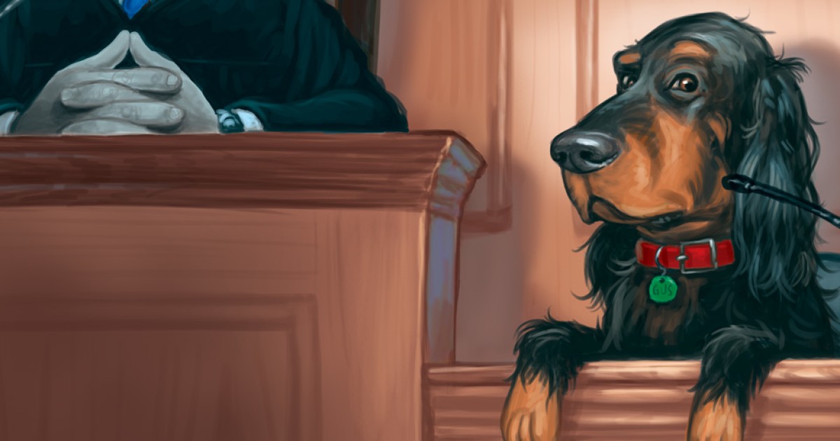Crime and (Doggie) Punishment