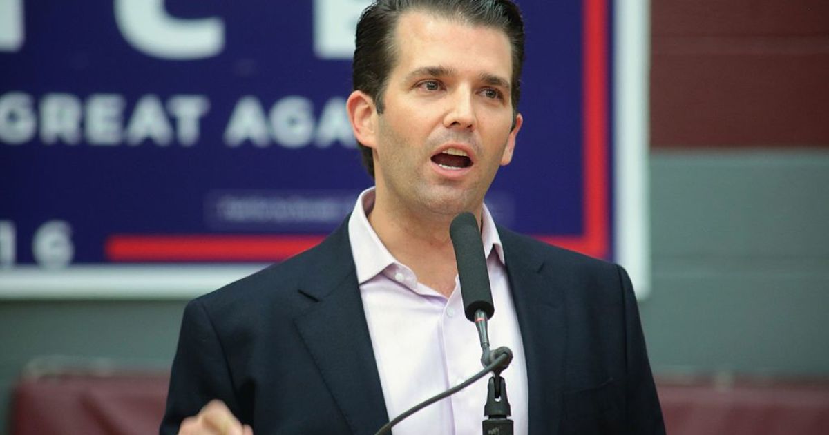 Donald Junior Adopts a Story