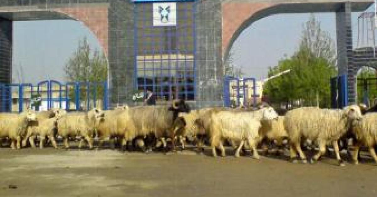 A Power Struggle in Iran