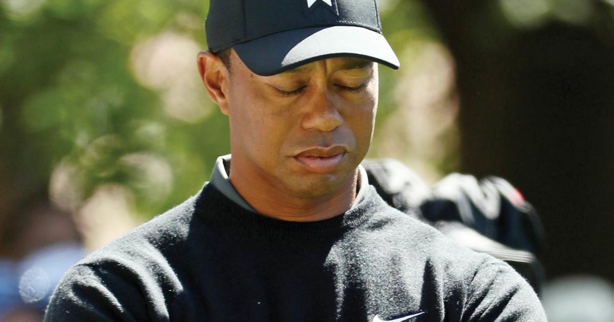Tiger and the Cubs