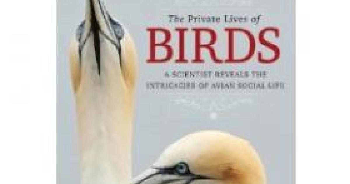 Book Review: A Peep into the Nest