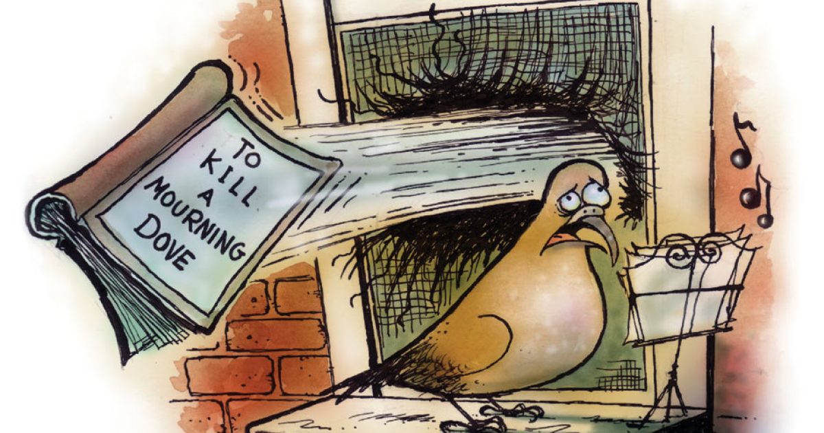 The Birds