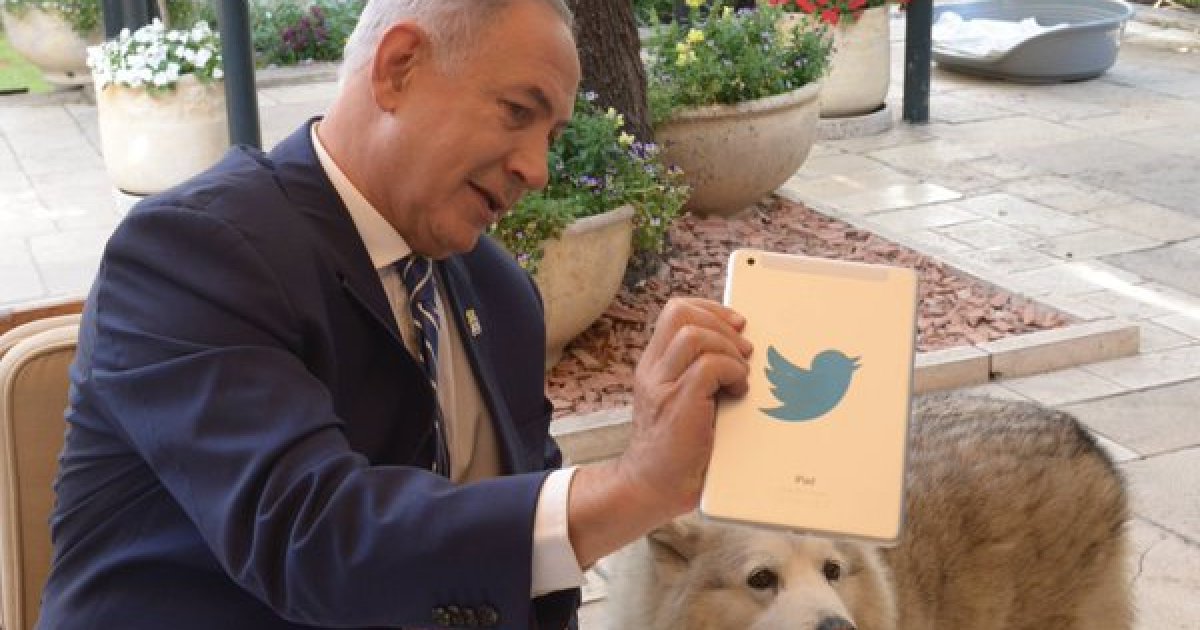 Weird Week in (Internet) Politics: Bibi on Twitter, Trump LOVES Chocolate, Law is Hard