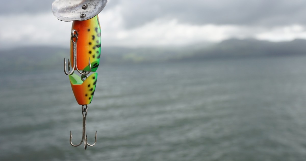 LABASH: Instagram Is Killing Fish