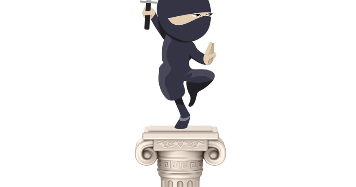The Ninja Party