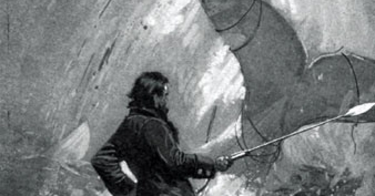 Inside the Whale