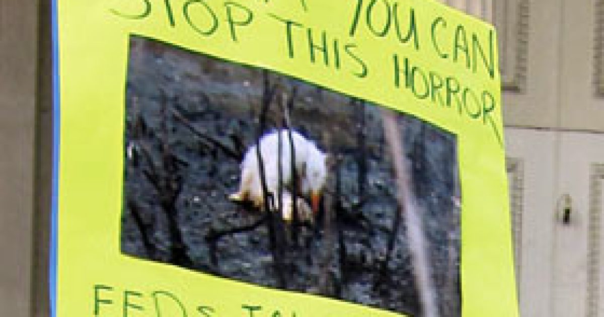 How to Think About Oil Spills