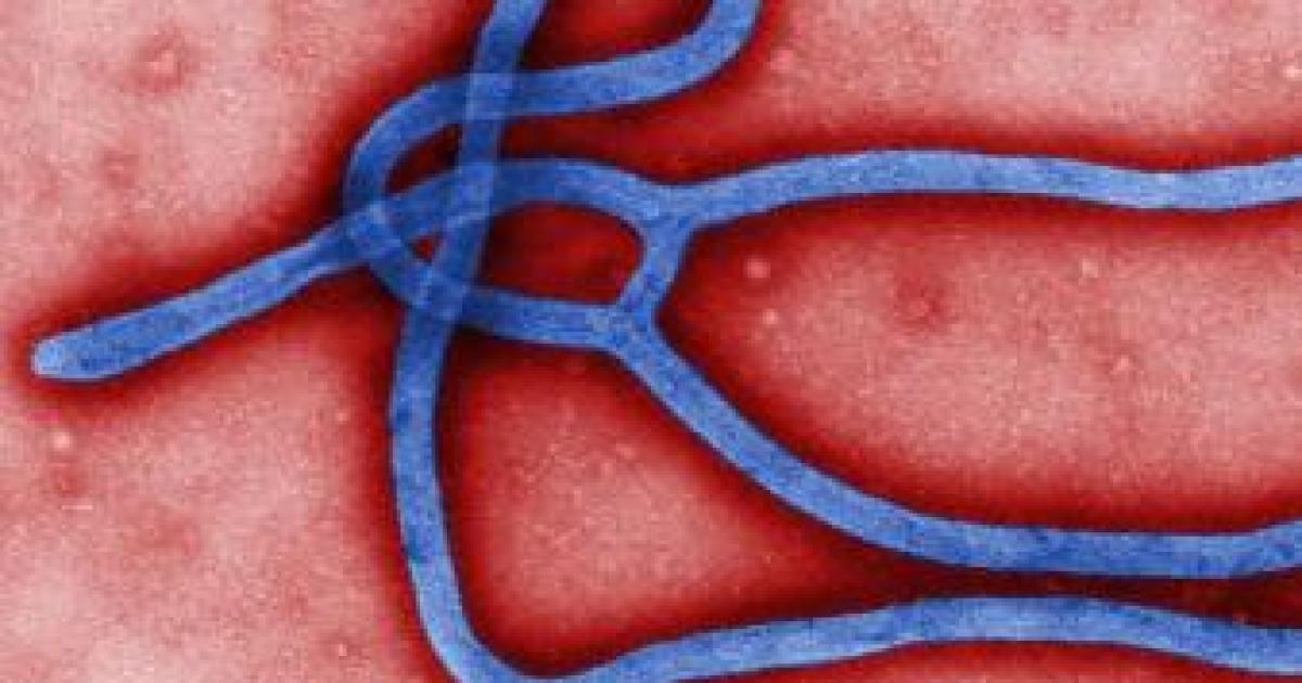 Podcast: What's So Scary About Ebola