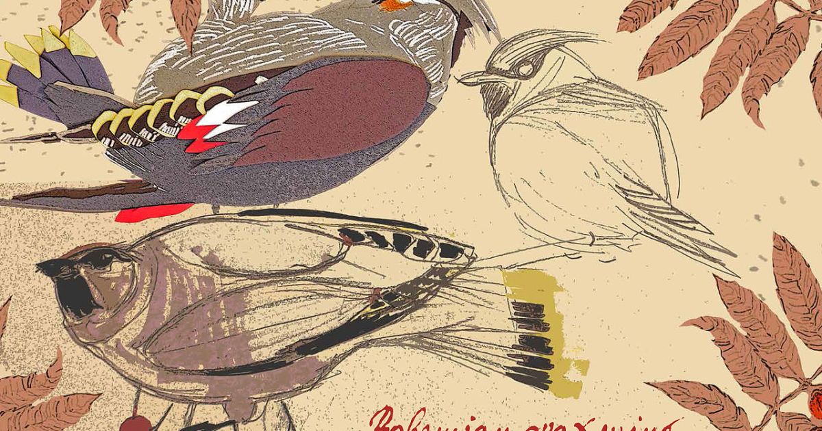Prufrock: 'White Trash Cooking' Revisited, Cruel Birdwatchers, and the Most Expensive Book at the Bottom of the Atlantic