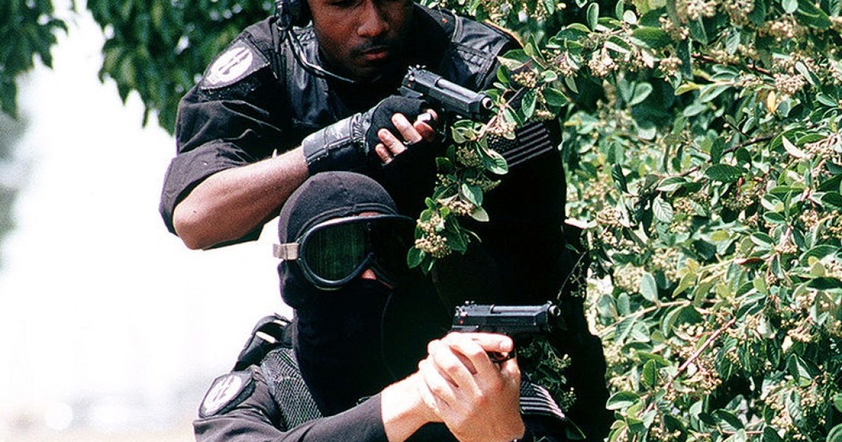 Bureaucrats Bearing Arms