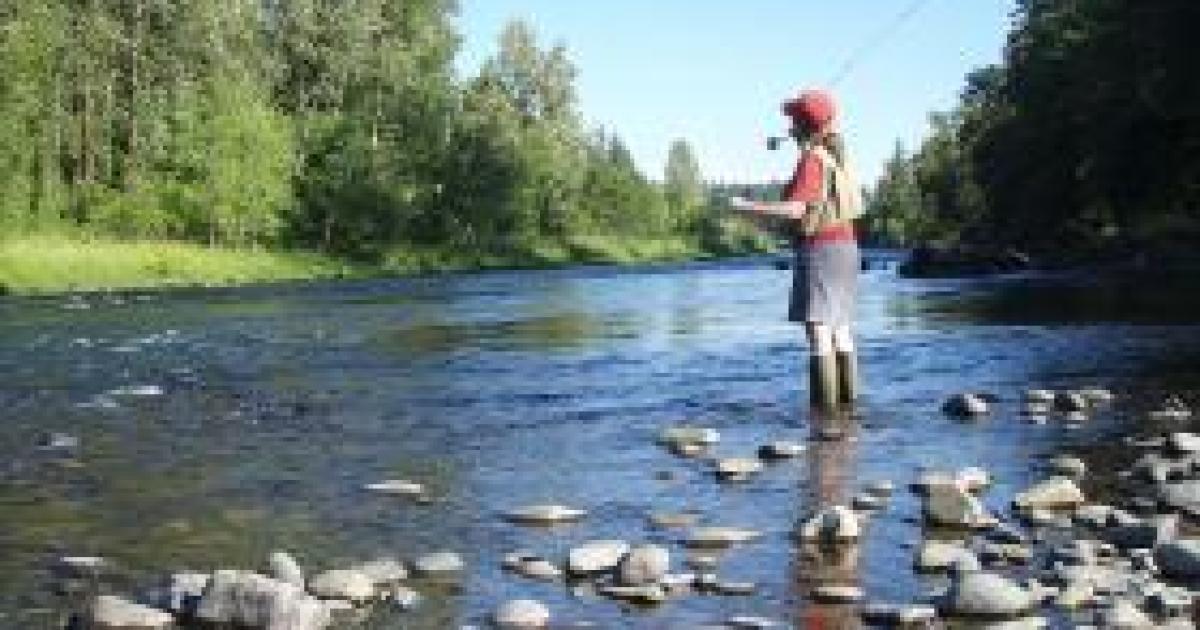 Fly Fishing Advice