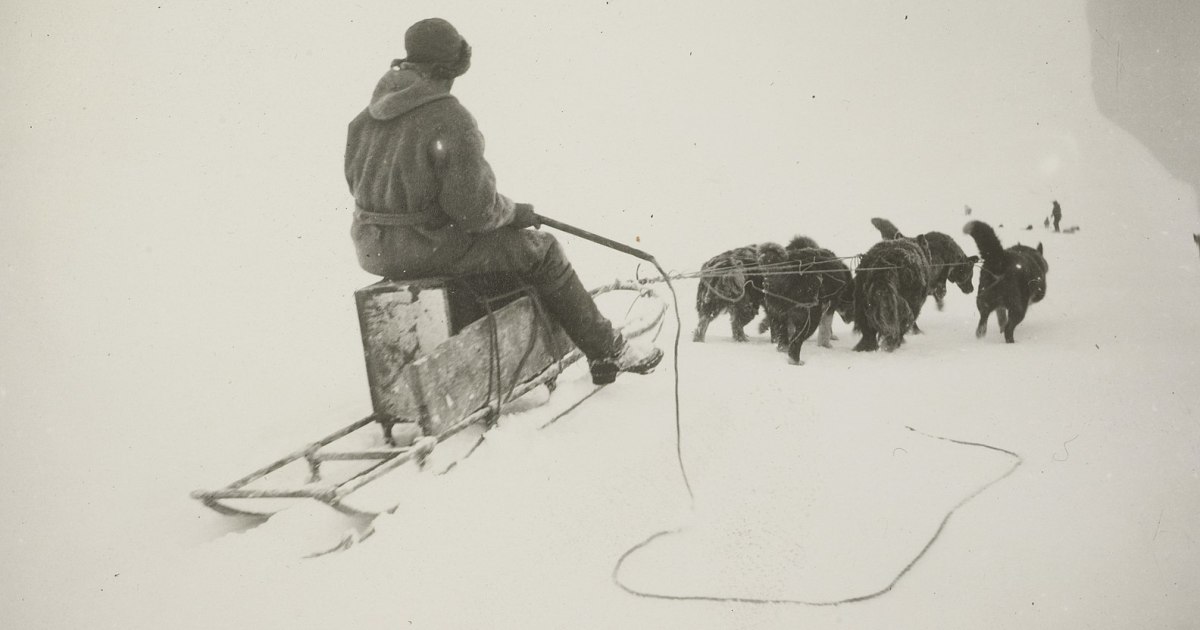 Prufrock: The Mindlessness of Critical Theory, Bioprospecting Norwegians, and Freeman Dyson’s Life in Letters