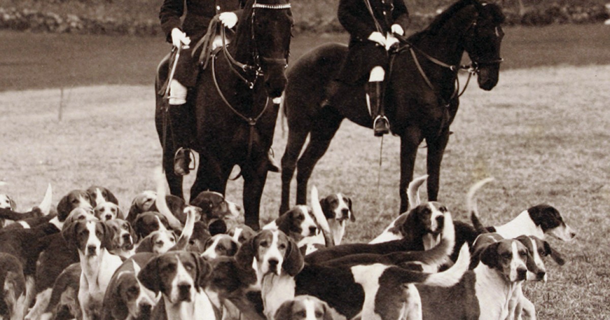 Transatlantic Hounds