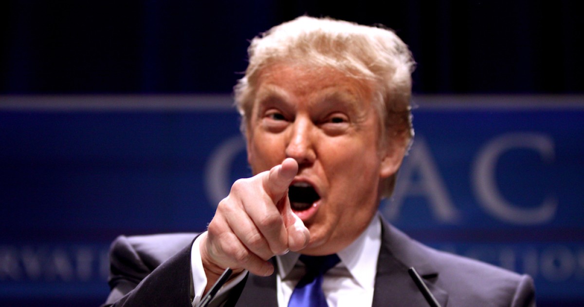 Trump to Palin: You're Fired? (Updated)