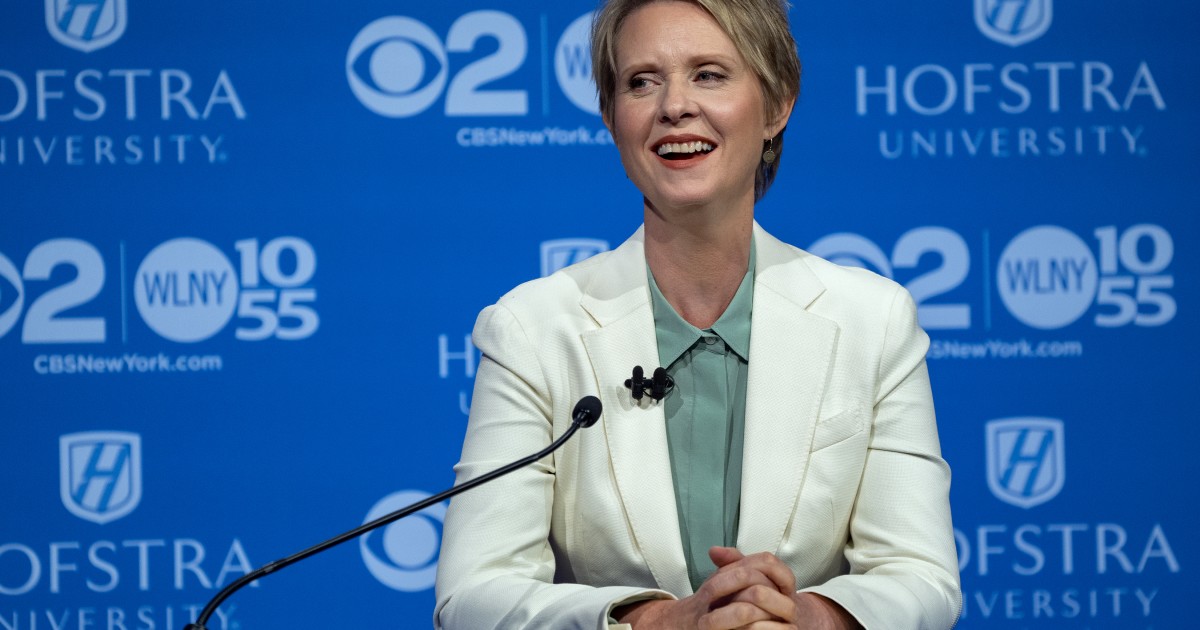 For an Hour on Wednesday, Cynthia Nixon Was Winning