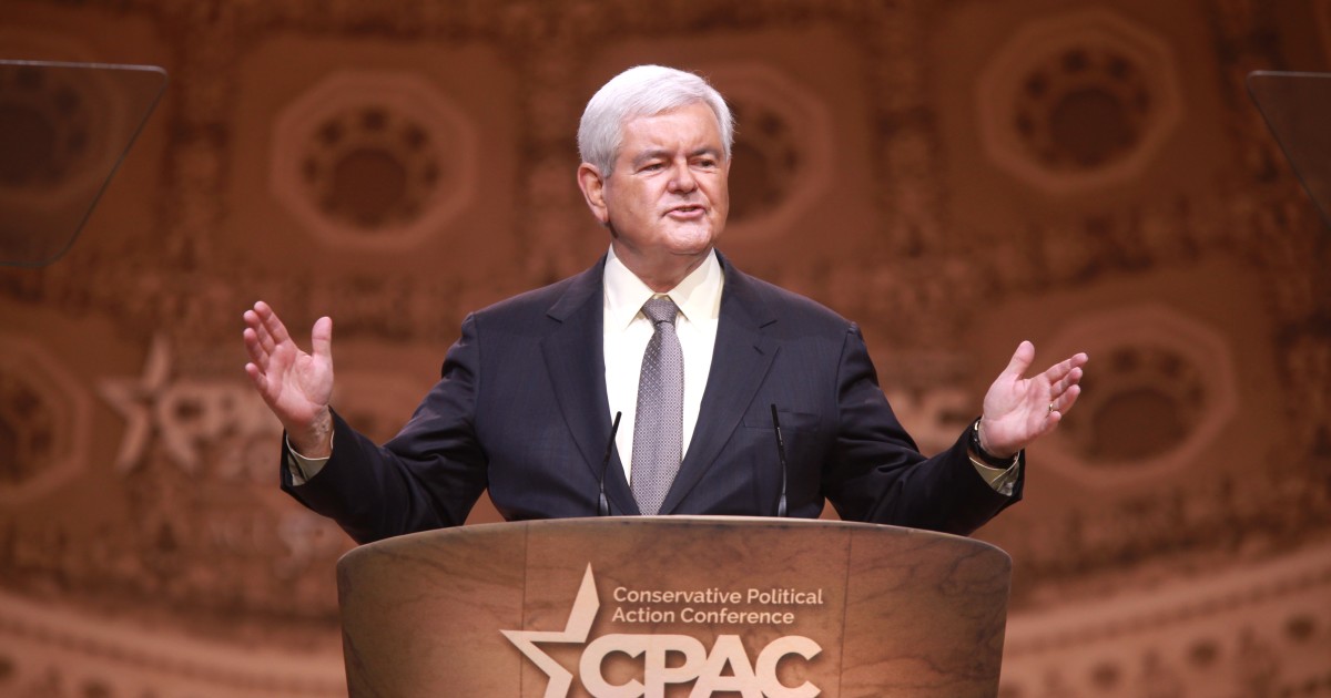 Gingrich Bashes 'Idiots' in the 'Propaganda Media'